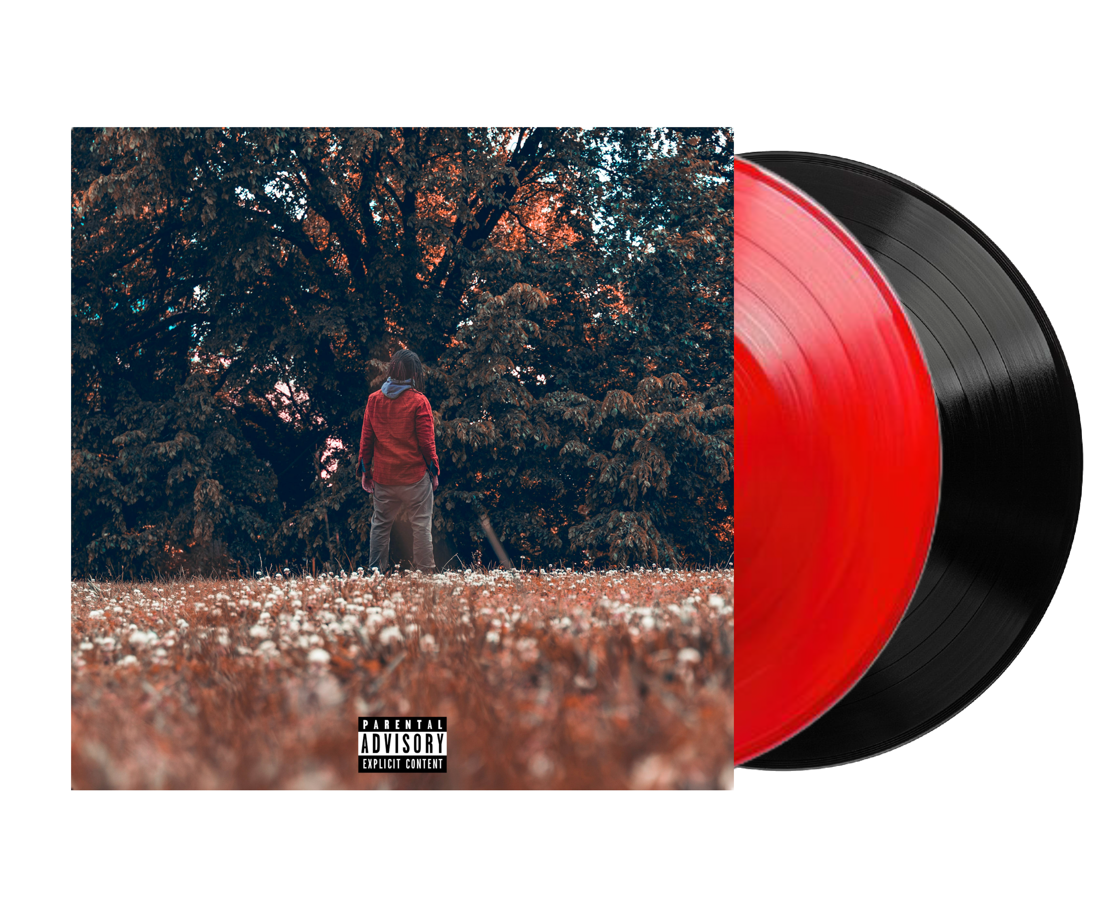 Time Will Tell, Vinyls