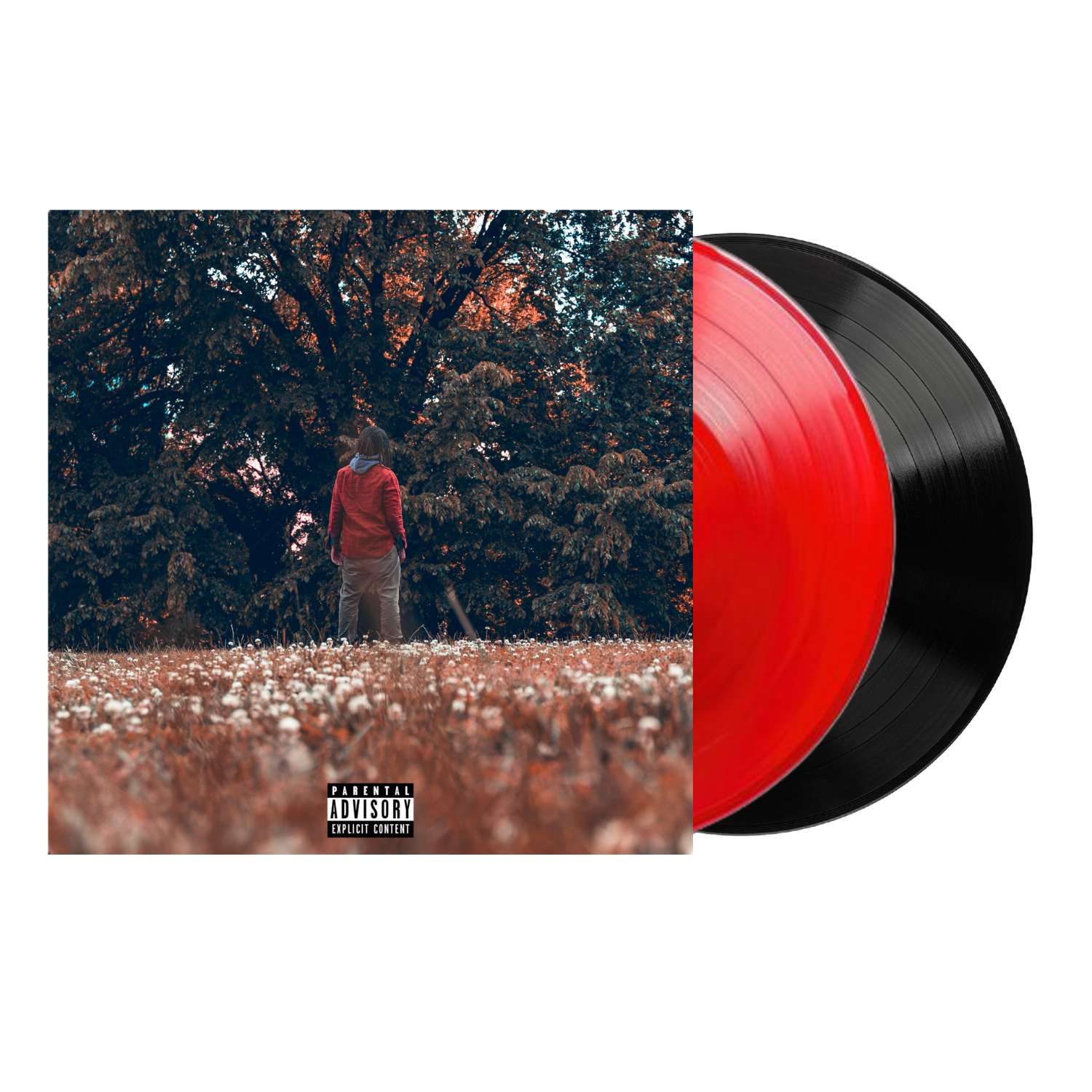 Time Will Tell, Vinyls